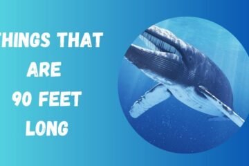 90 Feet