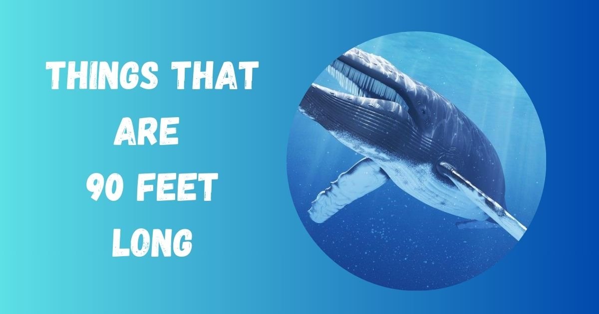 90 Feet