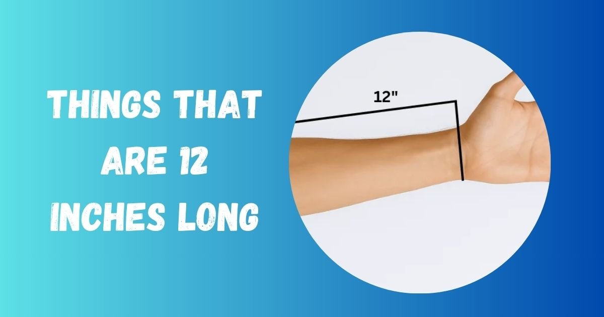 12 Inches