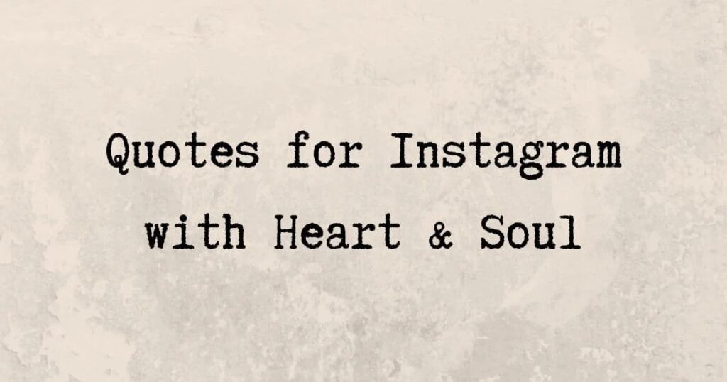 Festival Vibes Captions for Instagram (1)