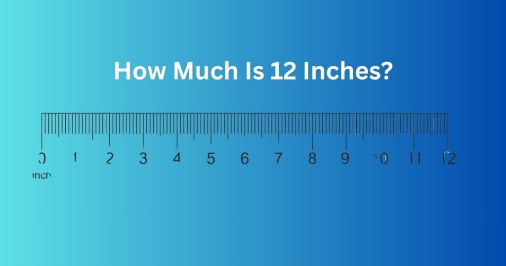 How Much Is 12 Inches