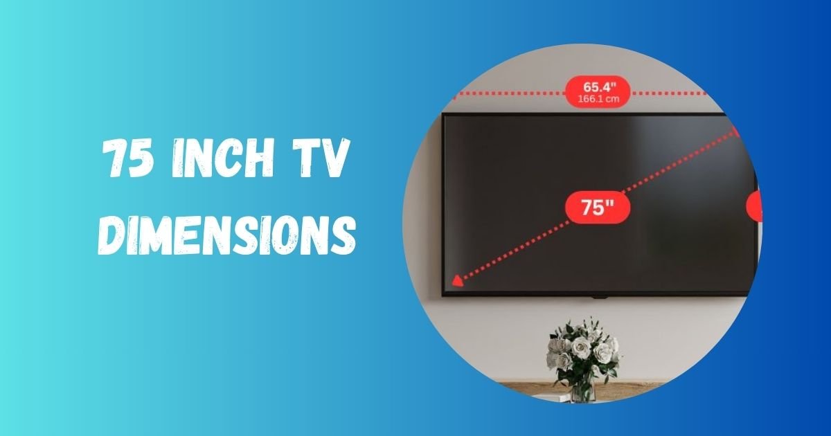 75 Inch TV Dimensions