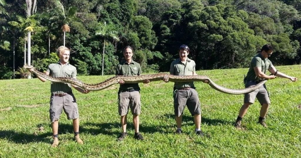5m Python