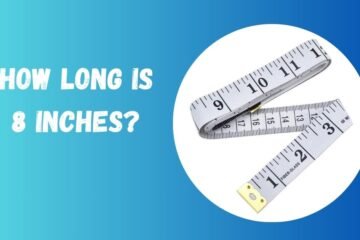 8 Inches