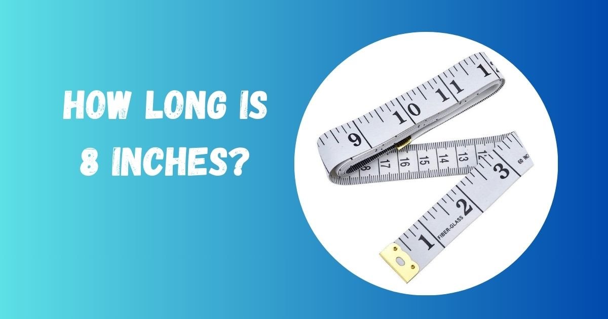 8 Inches
