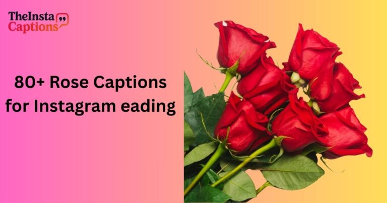 80+ Rose Captions for Instagram