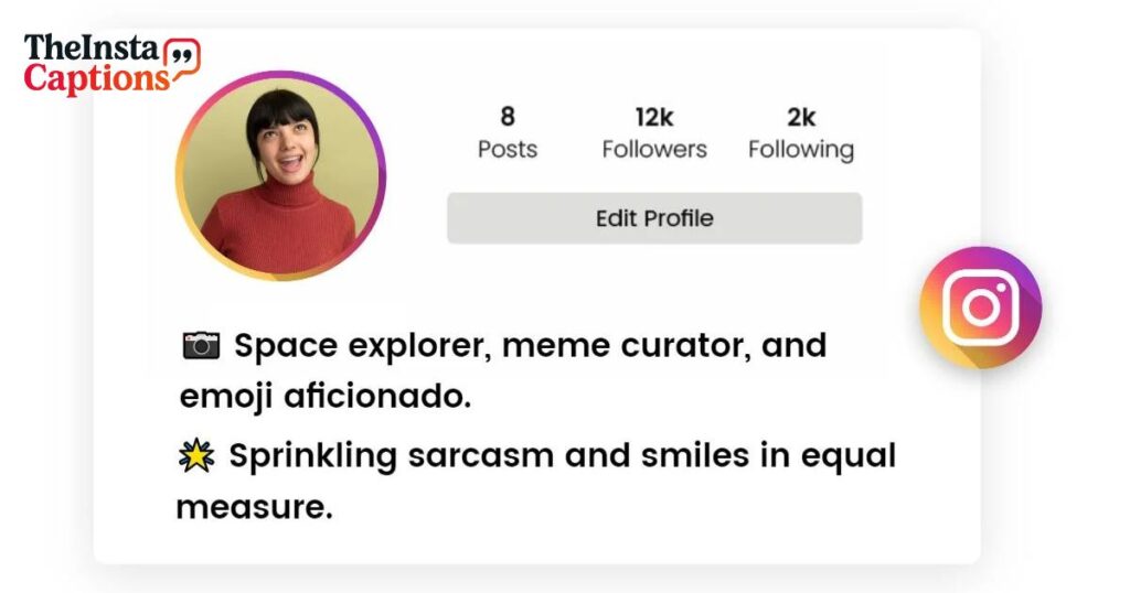 Funny Instagram Bio Ideas for Boys